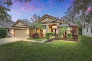 15129 SHEARCREST DRIVE, LITHIA, FL 33547 - MLS#MFRTB8465327