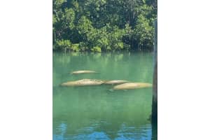 1355 PINELLAS BAYWAY S #23, TIERRA VERDE, FL 33715 - MLS#MFRTB8465362