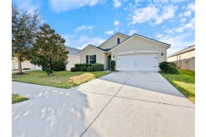 4411 LINDEVER LANE, PALMETTO, FL 34221 - MLS#MFRTB8465414