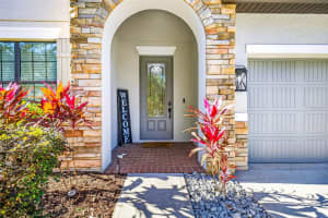 20308 ASH GROVE LANE, TAMPA, FL 33647 - MLS#MFRTB8465427