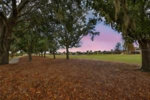 1118 EMERALD DUNES DRIVE, SUN CITY CENTER, FL 33573 - MLS#MFRTB8465440