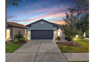 5926 SWEET BIRCH DRIVE, RIVERVIEW, FL 33578 - MLS#MFRTB8465441
