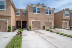 6229 SCARLET DARTER WAY, TAMPA, FL 33625 - MLS#MFRTB8465458