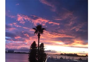 100 PIERCE STREET, CLEARWATER, FL 33756 - MLS#MFRTB8465485