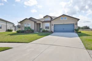 9497 IBIS GROVE BOULEVARD, WESLEY CHAPEL, FL 33545 - MLS#MFRTB8465516