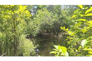 0 CYRIL DRIVE, DADE CITY, FL 33523 Sold 01/30/26