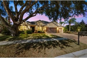1116 HILLANDALE RESERVE DRIVE, TAMPA, FL 33613 - MLS#MFRTB8465571