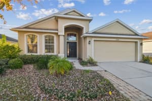 13709 Sanford Hill Pl, RIVERVIEW
