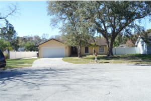 15002 SUNGLOW COURT, TAMPA, FL 33624 - MLS#MFRTB8465683