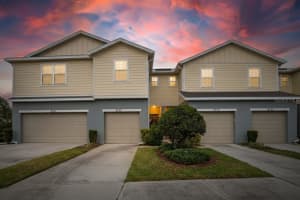 4732 White Sanderling Ct, TAMPA 4732 White Sanderling Ct, TAMPA