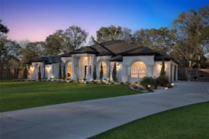 28233 SONNY DRIVE, WESLEY CHAPEL, FL 33544 - MLS#MFRTB8465749