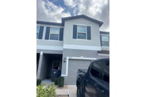 9619 Mulberry Marsh Ln, SUN CITY CENTER