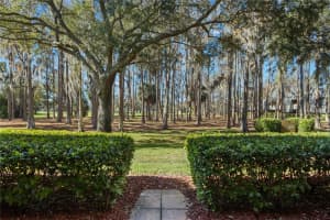 36750 US HIGHWAY 19 N #6-111/2043, PALM HARBOR, FL 34683 - MLS#MFRTB8465868