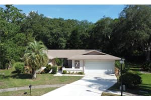 3405 Dove Hollow Ct, PALM HARBOR