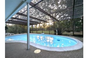 3405 DOVE HOLLOW COURT, PALM HARBOR, FL 34683 - MLS#MFRTB8465907