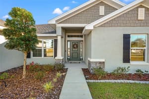 12444 SUNSET WOODS DRIVE, SPRING HILL, FL 34609 - MLS#MFRTB8465936