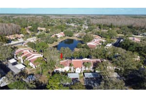 3505 TARPON WOODS BOULEVARD, PALM HARBOR, FL 34685 - MLS#MFRTB8465948