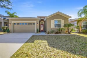 11209 Flora Springs Dr, RIVERVIEW