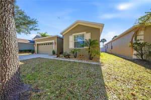 11209 FLORA SPRINGS DRIVE, RIVERVIEW, FL 33579 - MLS#MFRTB8465955