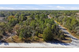 12246 MILLINGTON AVENUE, BROOKSVILLE, FL 34614 Sold 02/26/26