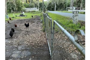 2805 Cr 423, LAKE PANASOFFKEE