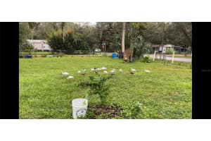 2805 CR 423, LAKE PANASOFFKEE, FL 33538 - MLS#MFRTB8466027