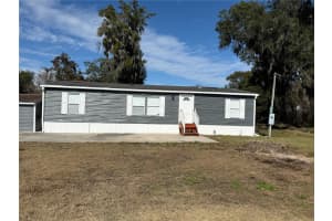 3556 E C 462, WILDWOOD, FL 34785 - MLS#MFRTB8466034