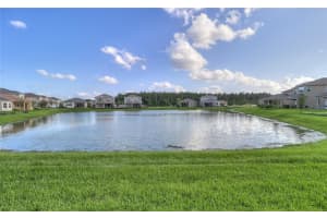 31045 LINDENTREE DRIVE, WESLEY CHAPEL, FL 33543 - MLS#MFRTB8466042