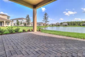 31045 LINDENTREE DRIVE, WESLEY CHAPEL, FL 33543 - MLS#MFRTB8466042