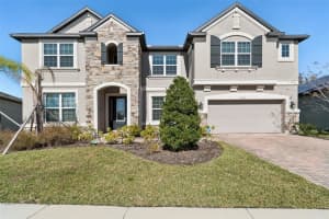 19328 EAGLE CREEK LANE, TAMPA, FL 33647 - MLS#MFRTB8466063