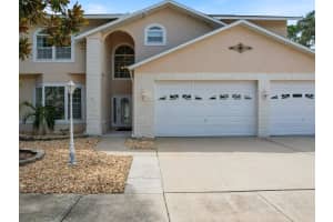 4738 INNISFIL STREET, PALM HARBOR, FL 34683 - MLS#MFRTB8466090