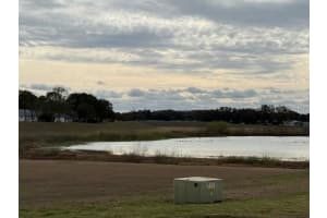 11140 CARRIAGE HILL DRIVE, PORT RICHEY, FL 34668 - MLS#MFRTB8466110