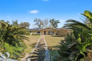 6107 ARTHUR ROAD, BELLEVIEW, FL 34420 - MLS#MFRTB8466121
