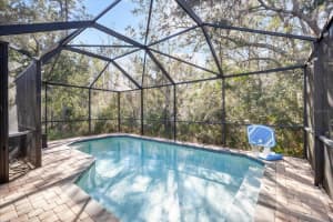 7878 TUSCANY WOODS DRIVE, TAMPA, FL 33647 - MLS#MFRTB8466122