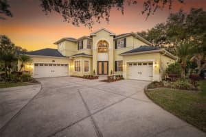 2102 Chestnut Forest Dr, TAMPA