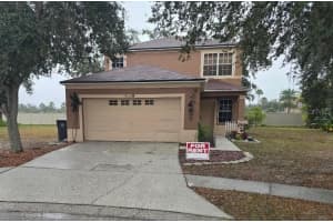 18002 Birdwater Dr, TAMPA