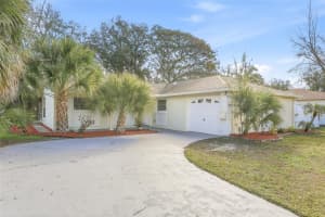 1003 Greenleaf Way, TARPON SPRINGS