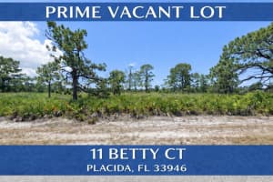 11 BETTY COURT, PLACIDA, FL 33946 - MLS#MFRTB8466137
