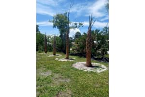 LIN GINA TER, EDGEWATER, FL 32141 - MLS#MFRTB8466149