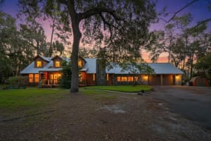 2635 DOVER ROAD, DOVER, FL 33527 - MLS#MFRTB8466153