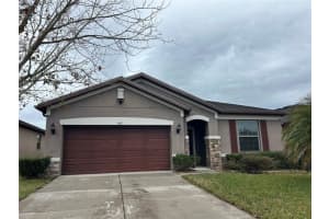 707 Petal Mist Ln, BROOKSVILLE