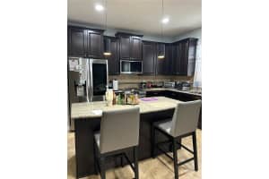 707 PETAL MIST LANE, BROOKSVILLE, FL 34604 - MLS#MFRTB8466184