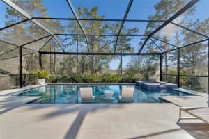20170 UMBRIA HILL DRIVE, TAMPA, FL 33647 - MLS#MFRTB8466212
