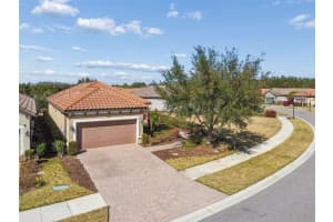 8440 Alberata Vista Dr, TAMPA 8440 Alberata Vista Dr, TAMPA