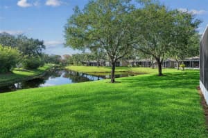 19128 LAKE AUDUBON DRIVE, TAMPA, FL 33647 - MLS#MFRTB8466229