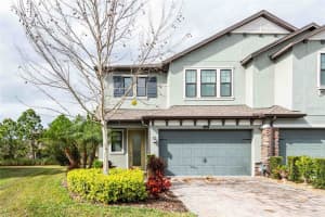 4655 ALMADA LANE, WESLEY CHAPEL, FL 33543 - MLS#MFRTB8466247