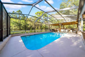 10323 SARANAC TRAIL, HUDSON, FL 34667 - MLS#MFRTB8466261