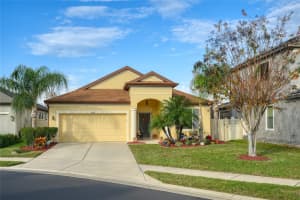 8010 WHITETAIL DEER WAY, TAMPA, FL 33635 - MLS#MFRTB8466263