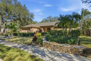 3050 EGRET TERRACE, SAFETY HARBOR, FL 34695 - MLS#MFRTB8466297