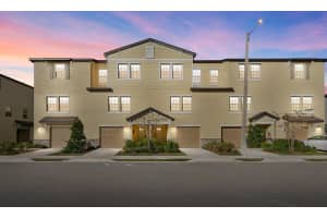 809 Tennyson Mill Cir, TAMPA 809 Tennyson Mill Cir, TAMPA